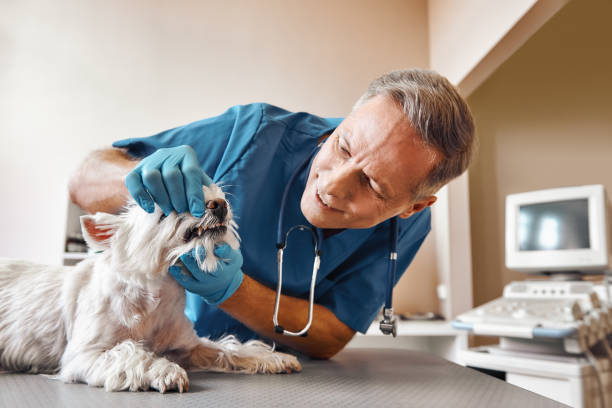 Best Dentist for Tooth Abscess  in Fort Clark Springs, TX
